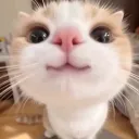 mineminene