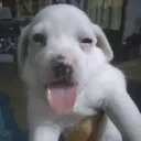 getdepressed_