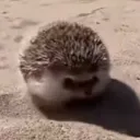 mrherrii