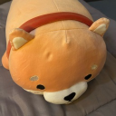 avatar Elina Noodles