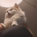 Discord Avatar