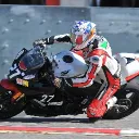 acavalli