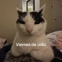dev_bugger