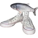 scorpionsc8