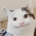 katjelau