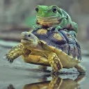eminentfrog4287