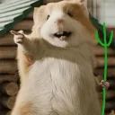 yycc999999
