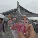 reip_noa