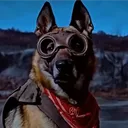 aviator0131