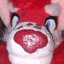 reddrat