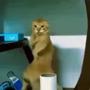 obeep_