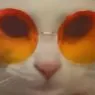 itsdevobtw