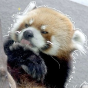 avatar MarketablePlushie