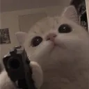 kulassnicooo