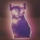 omershapira
