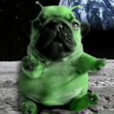 avatar DanuelAA🇪🇸