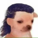 polarpablo