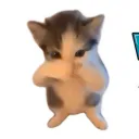 jxycrazybxy
