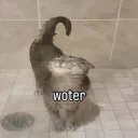 itsmisasoup