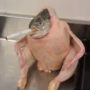 sturmytarik