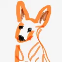 kangaroo8435
