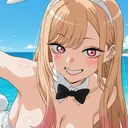 nhp_laws