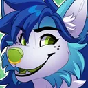 bluefolf