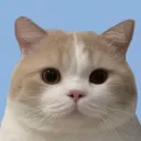 ku._.su
