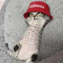 ussrnema