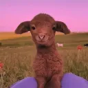 michaelrb