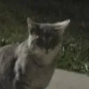 tqbz