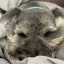 angeltaz