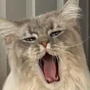 williampwll