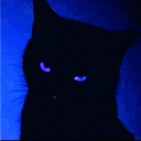 avatar kedi