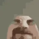 harry_iq