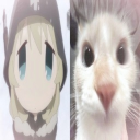 avatar puppygirlstink