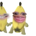 altnxszxyy