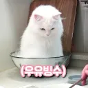 hayun