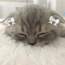 cummynizm