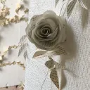 eachpeachpearplum