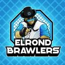 rollerpenguinbrawlers