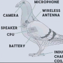 avatar thoth 93 rhobot ghod