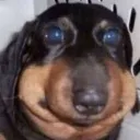 zomb1eboi