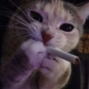 acuzia.#7033's avatar