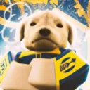cach0rrao avatar