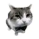 mihailris