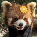 bee_panda