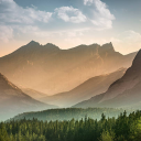 avatar 68780622t62478gh24t4807421