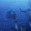 avatar WealthierBump96