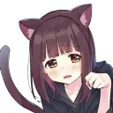 catnip_mixed_with_estrogen